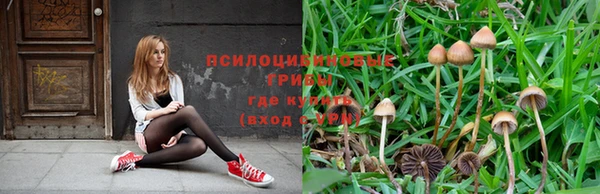 spice Аркадак